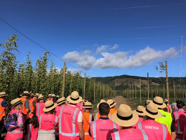 Investors seeking cash returns flood into primary sector.