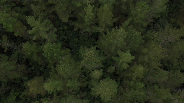 Why New Zealand must take action on climate change