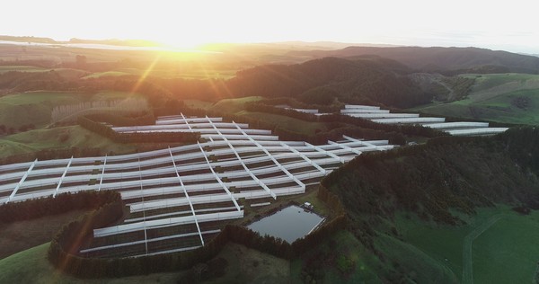 SunGold orchard values average 21% p.a growth